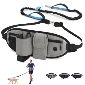 Hands Free Dog Leash with Waist Bag for Walking Small Medium Large Dogs;  Reflective Bungee Leash with Car Seatbelt Buckle and Dual Padded Handles (Color: Grey, Leash: 1 dog)