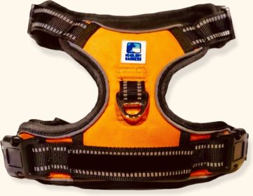 Headlight Harness Reflective Water Resistant LED Nighttime Walking Safety Harness (Color: Orange (HH), Size: M (HH))