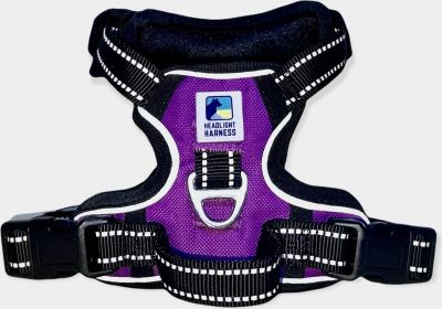 Headlight Harness Reflective Water Resistant LED Nighttime Walking Safety Harness (Color: Purple (HH), Size: M (HH))